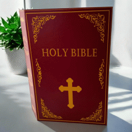 Книга - сейф "Holy Bible" средняя, 24 см