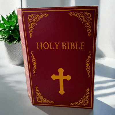 Книга - сейф "Holy Bible" средняя, 24 см
