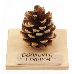 "Большая Шишка" - сувенир "Большая Шишка" - сувенир