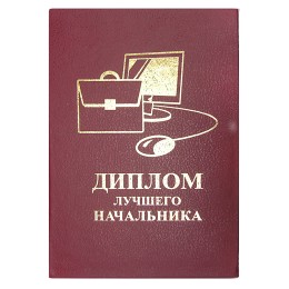 Диплом ЛУЧШЕГО НАЧАЛЬНИКА Диплом ЛУЧШЕГО НАЧАЛЬНИКА