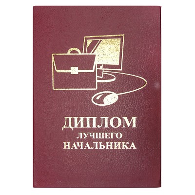 Диплом ЛУЧШЕГО НАЧАЛЬНИКА