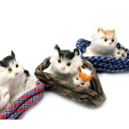 Котята на коврике (мяукают)